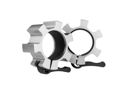 ZG1500 SILVER MAXI 01