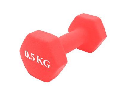 Činka litina NEOPREN 0,5 kg