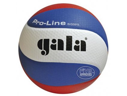 Míč volejbal PRO-LINE GALA profi 5591S