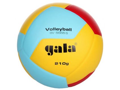 BV5555S Volleyball 210 g volejbalový míč