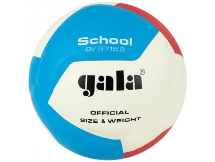 Míč volejbal GALA SCHOOL 12 BV5715S