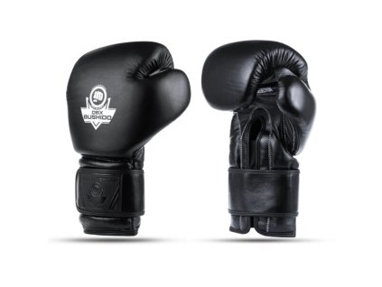 Boxerské rukavice DBX BUSHIDO B-ProFight (Velikost 10oz.)