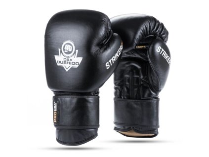 Boxerské rukavice DBX BUSHIDO Striker (Velikost 10oz.)