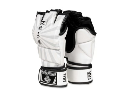 MMA rukavice DBX BUSHIDO E1v7 (Velikost XL)