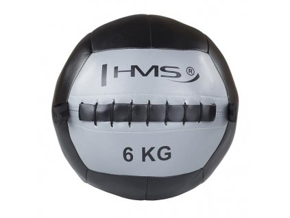 Wall ball medicinbal WLB 6 kg