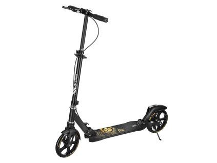 HM800 GOLD MAXI 01