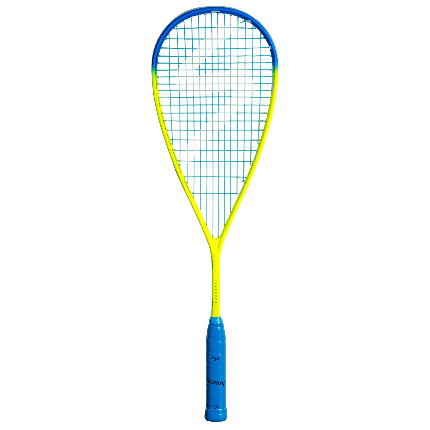 SALMING Cannone Powerlite Racket Blue/Yellow