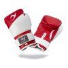 DĚTSKÉ BOXERSKÉ RUKAVICE BONSAI 2,4,6oz červené