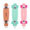 TEMPISH BUFFY NATURE skateboard