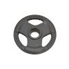 Kotouč činky  IRON CAST - 50 mm (Varianta 1,25)