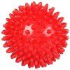 Massage Ball masážní míč červená (Varianta 9 cm)