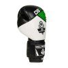 Boxerské rukavice DBX BUSHIDO B-2v6 (Velikost 14 z.)