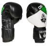 Boxerské rukavice DBX BUSHIDO B-2v6 (Velikost 14 z.)