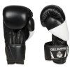 Boxerské rukavice DBX BUSHIDO B-2v6 (Velikost 14 z.)