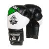 Boxerské rukavice DBX BUSHIDO B-2v6 (Velikost 14 z.)