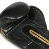 Boxerské rukavice DBX BUSHIDO B-2v13 (Velikost 10oz.)