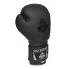 Boxerské rukavice DBX BUSHIDO B-2v12 (Velikost 6oz.)