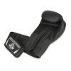 Boxerské rukavice DBX BUSHIDO B-2v12 (Velikost 6oz.)