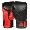 Boxerské rukavice DBX BUSHIDO B-2v15 (Velikost 10oz.)