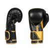 Boxerské rukavice DBX BUSHIDO B-2v10 (Velikost 8oz.)
