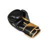 Boxerské rukavice DBX BUSHIDO B-2v10 (Velikost 8oz.)