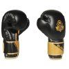 Boxerské rukavice DBX BUSHIDO B-2v10 (Velikost 8oz.)