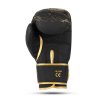 Boxerské rukavice DBX BUSHIDO Gold Dragon (Velikost 8 oz)
