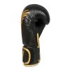 Boxerské rukavice DBX BUSHIDO B-2v17 (Velikost 8oz.)