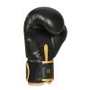 Boxerské rukavice DBX BUSHIDO B-2v17 (Velikost 8oz.)