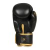 Boxerské rukavice DBX BUSHIDO B-2v17 (Velikost 8oz.)