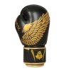 Boxerské rukavice DBX BUSHIDO B-2v17 (Velikost 8oz.)