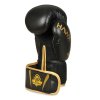 Boxerské rukavice DBX BUSHIDO B-2v17 (Velikost 8oz.)