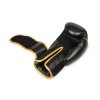 Boxerské rukavice DBX BUSHIDO B-2v17 (Velikost 8oz.)