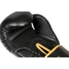 Boxerské rukavice DBX BUSHIDO B-2v17 (Velikost 8oz.)
