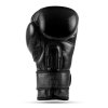 Boxerské rukavice DBX BUSHIDO Warrior BLACK (Velikost 10oz.)