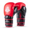 Boxerské rukavice DBX BUSHIDO Warrior RED (Velikost 10oz.)