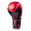 DBX Warrior Box RED MAXI 05
