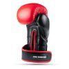 DBX Warrior Box RED MAXI 09