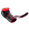 DBX Warrior Box RED MAXI 10