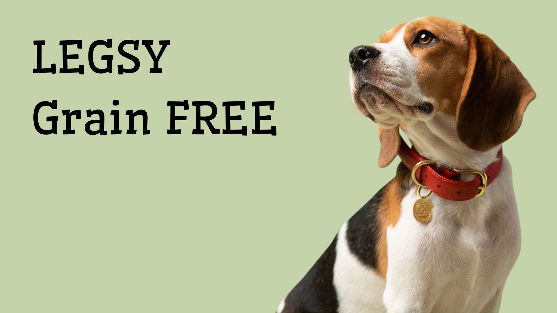 Představení naší řady granulí pro psy LEGSY Grain Free