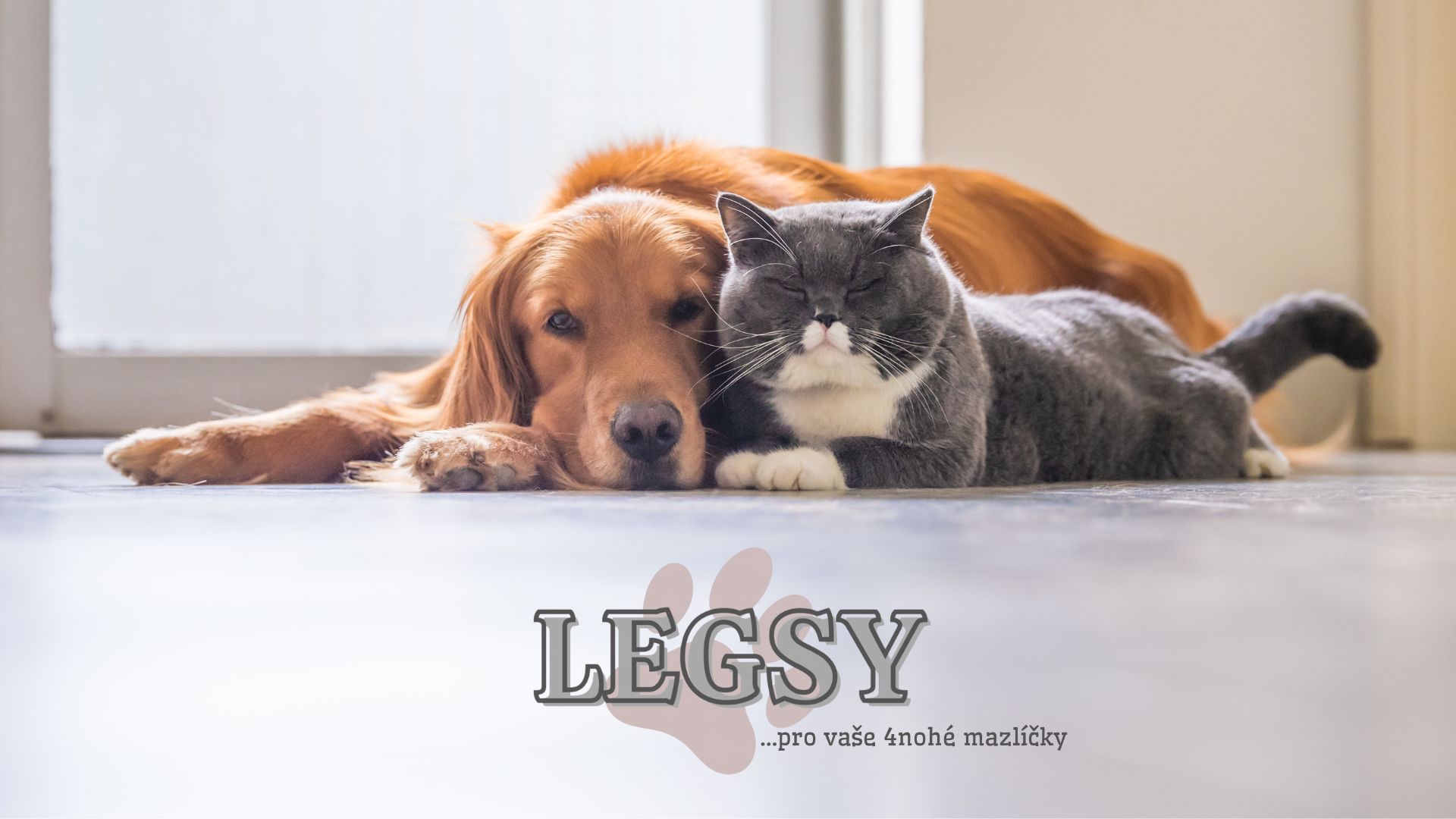 Představujeme LEGSY – Naše vlastní značka krmiva a pamlsků