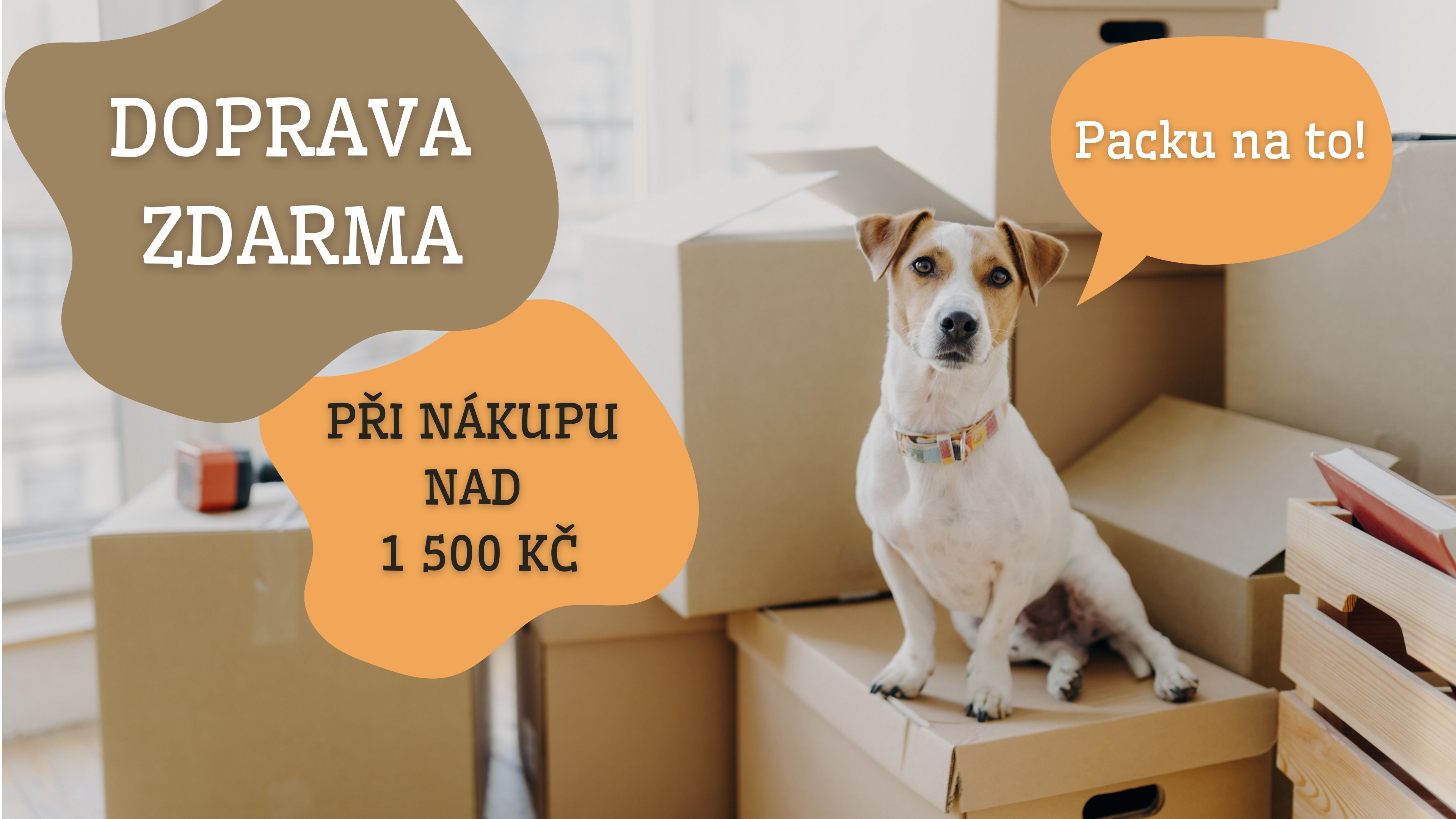 Doprava