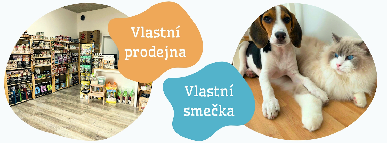 home-page-banner
