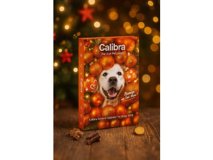 ChatGPT Image 5. 11. 2025 11 36 44