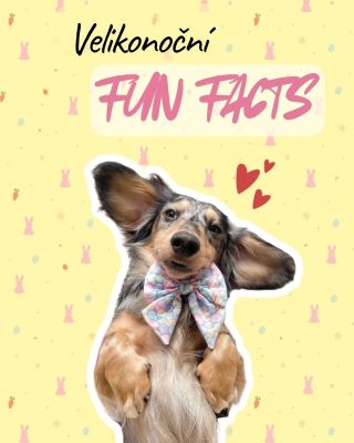 Velikonoce nejsou jen o vajíčkách a pomlázce 🐣 ale taky o tom, jak to zvládnou naši 4nozí mazlíčci 😄 👉 Můžou vajíčko? 👉...