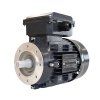 Jednofázový asynchronní motor 4MY5614; 0,06kW; IMB14