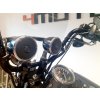 FLSTSB Softail Cross Bones