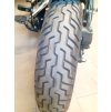 FLSTSB Softail Cross Bones