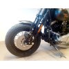 FLSTSB Softail Cross Bones