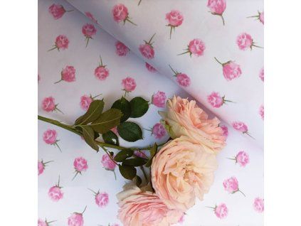 Ú Poipátka na bílé